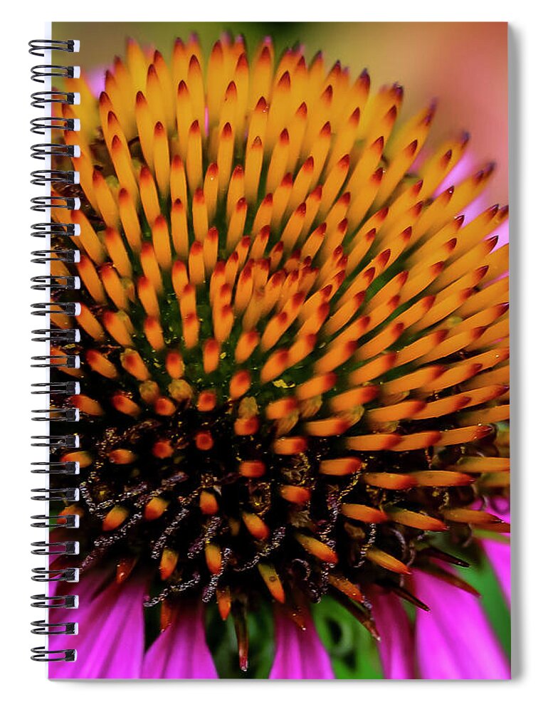 Flower Spiral Notebook featuring the photograph Coneflower by Seth Betterly