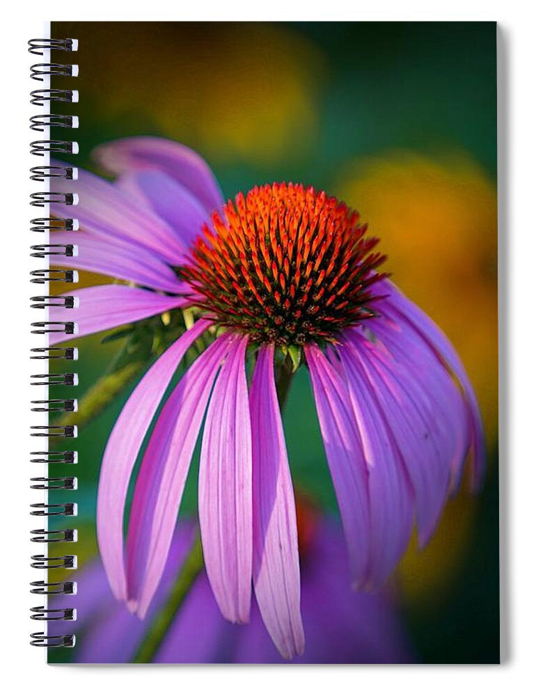 Beautiful Spiral Notebook featuring the photograph Coneflower by Susan Rydberg