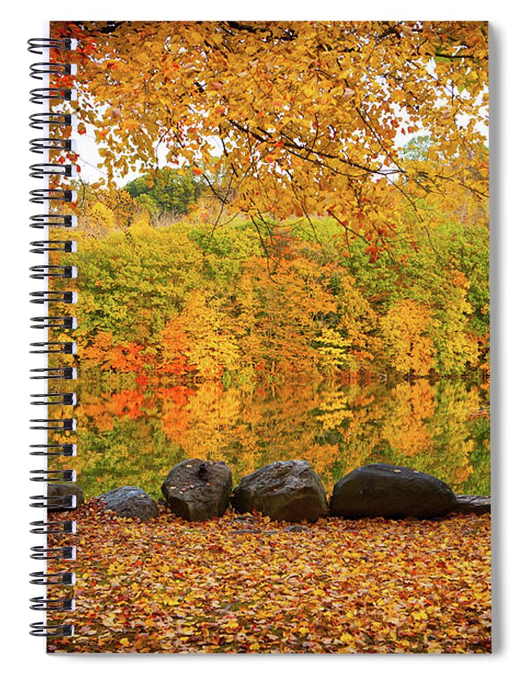 Foliage Spiral Notebook featuring the photograph Connecticut_Foliage_8225 by Rocco Leone