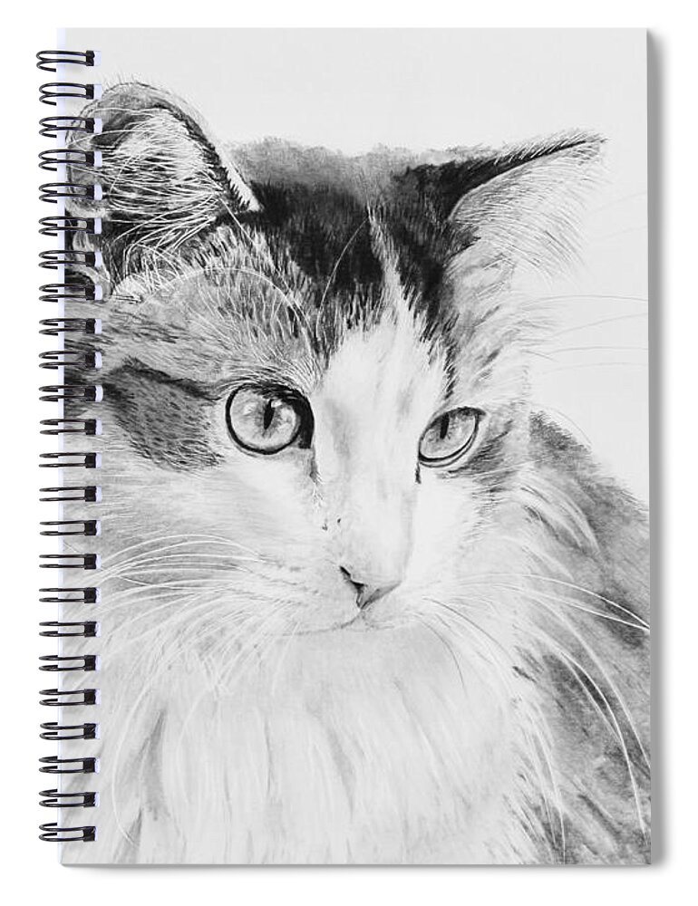 Cat Spiral Notebook featuring the drawing Cordova by Gigi Dequanne
