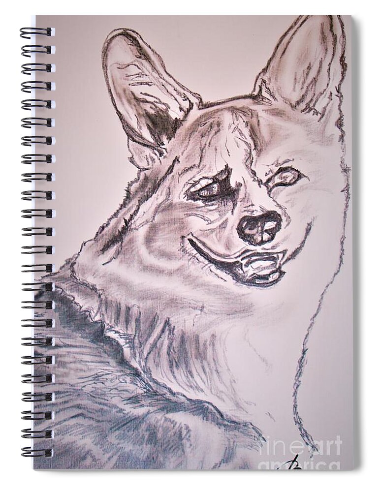 Painting Spiral Notebook featuring the drawing Corgi by Barbara Donovan