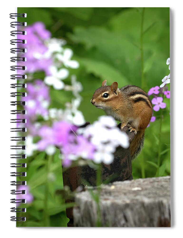 Rhododendron Spiral Notebook featuring the photograph Cornell Botanic Garden Curious Chipmunk by Mindy Musick King