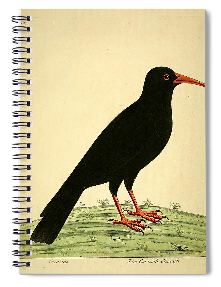 John Spiral Notebook featuring the mixed media Cornish Chough by World Art Collective