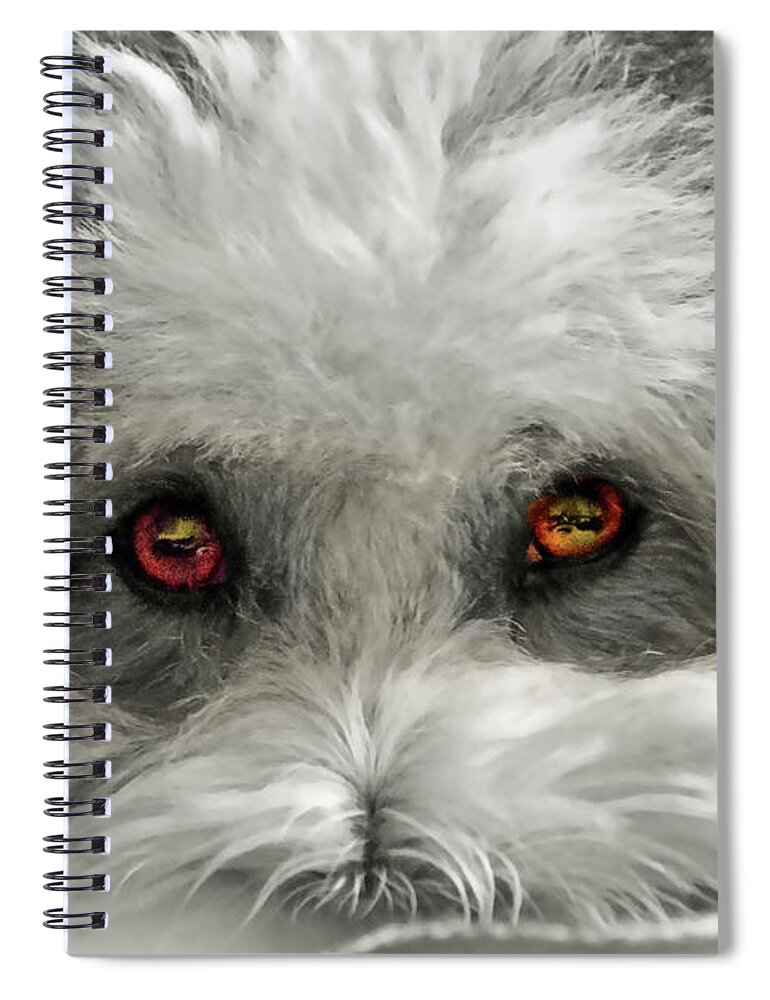 Dog Spiral Notebook featuring the photograph Coton Eyes by Keith Armstrong