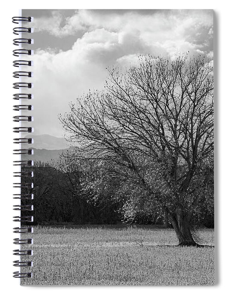 Bosque Del Apache Spiral Notebook featuring the photograph Cottonwood Tree by Maresa Pryor-Luzier