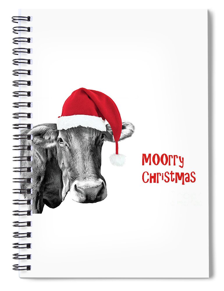Merry Christmas Spiral Notebook featuring the photograph Cow Christmas card by Delphimages Photo Creations