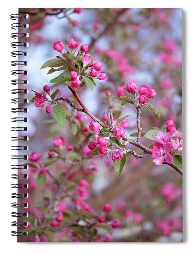 Spring Spiral Notebook featuring the photograph Crabapple in Spring I by Mary Lee Dereske
