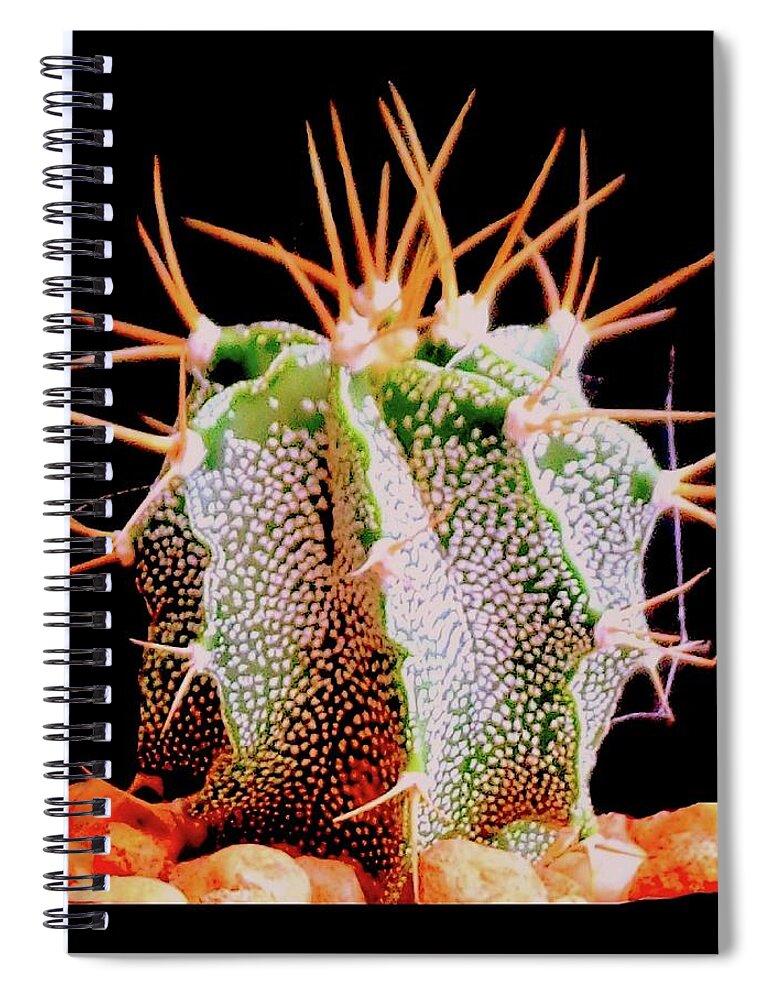 Cactus Spiral Notebook featuring the photograph Crazy Cactus by VIVA Anderson
