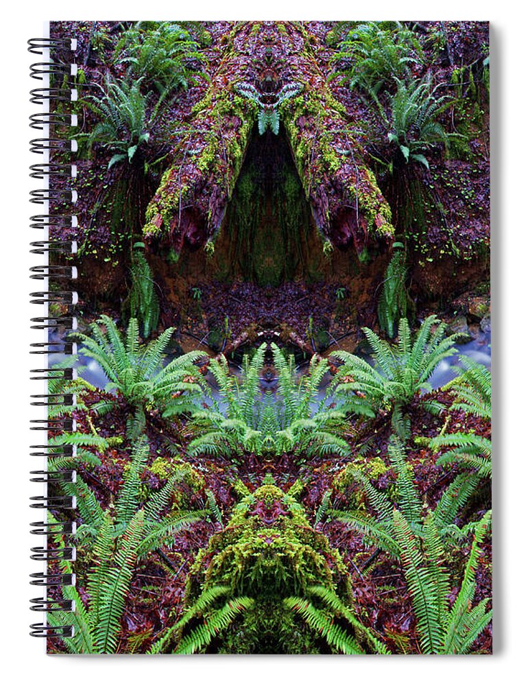 Nature Art Spiral Notebook featuring the photograph Creek Haven by Ben Upham III