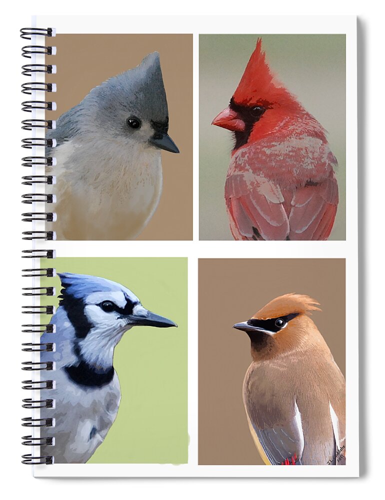 Birds Spiral Notebook featuring the mixed media Crested Birds by Judy Cuddehe