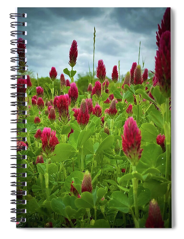 Crimsonclover Spiral Notebook featuring the photograph Crimson Clover by Pam Rendall