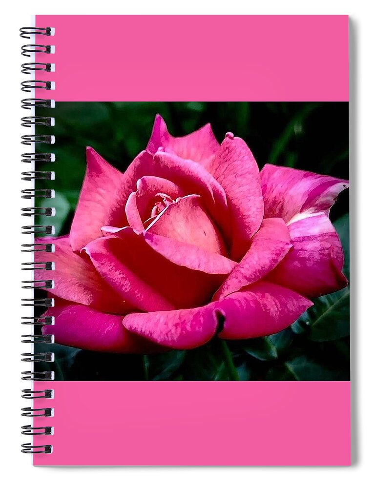 Photography Spiral Notebook featuring the photograph Crimson Delight by Bruce Bley