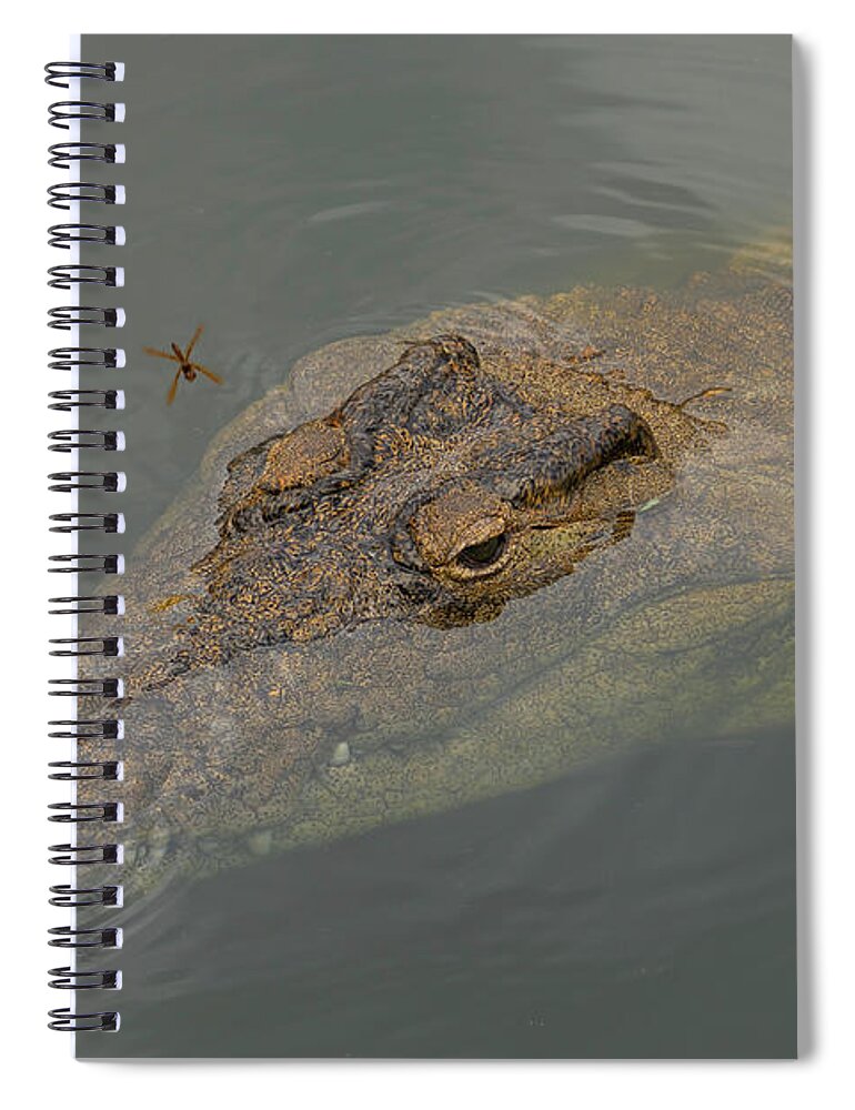 Crocodile Spiral Notebook featuring the photograph Crocodile with Dragonfly by Carolyn Hutchins