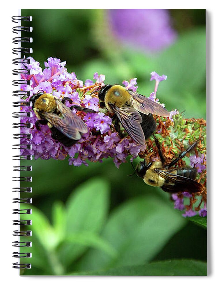 Bee Spiral Notebook featuring the photograph Crowded Table by Gina Fitzhugh