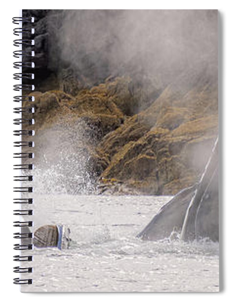 Whales Spiral Notebook featuring the photograph Cruising the Shoreline by Michael Rauwolf
