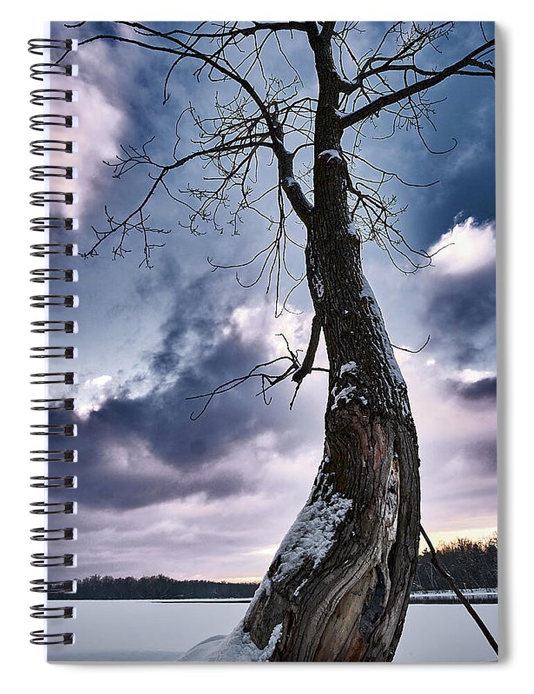 Tree Spiral Notebook featuring the photograph The Solo Curb Tree On The River by Carl Marceau
