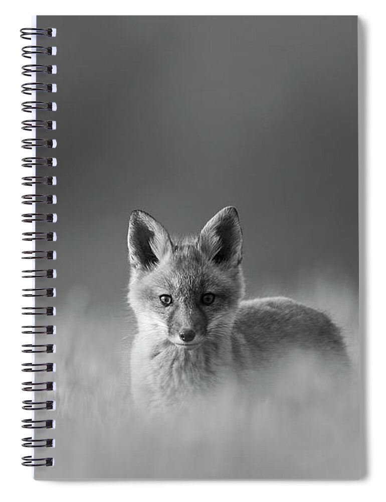 Red Fox Spiral Notebook featuring the photograph Curiosity of the Fox by Everet Regal