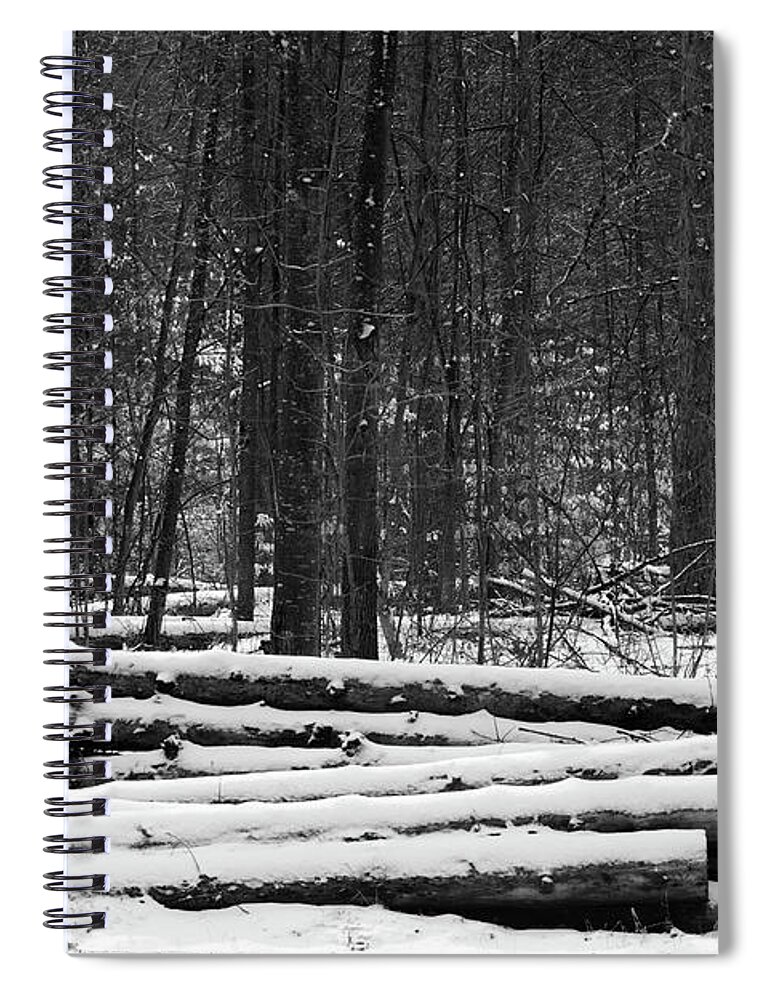Black And White Spiral Notebook featuring the photograph Cut logs in Simcoe County Forest by James Canning