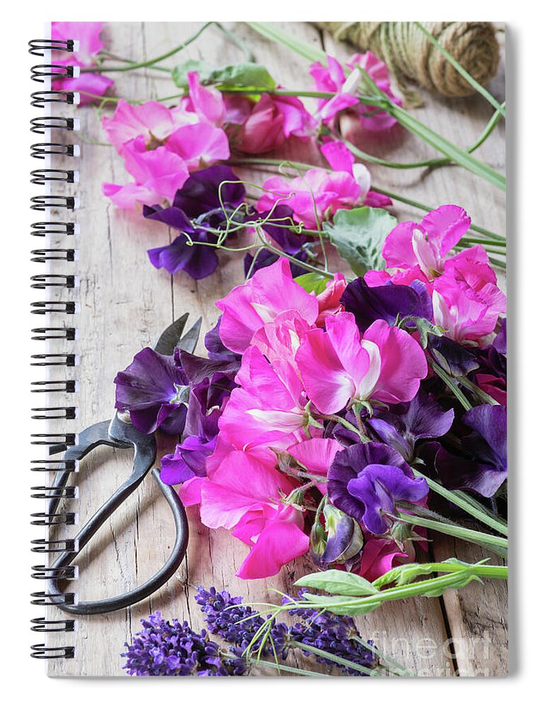 Sweet Pea Spiral Notebook featuring the photograph Cut Sweet Peas by Tim Gainey