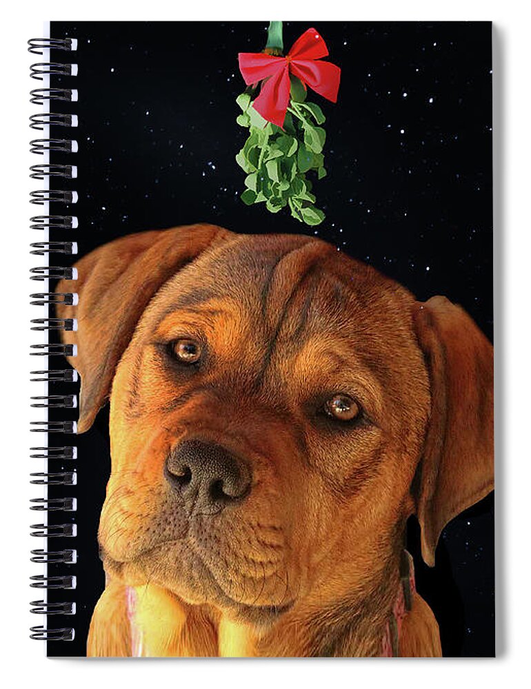 Puppy Spiral Notebook featuring the photograph Cute Puppy Under Mistletoe Holiday by Stephanie Laird