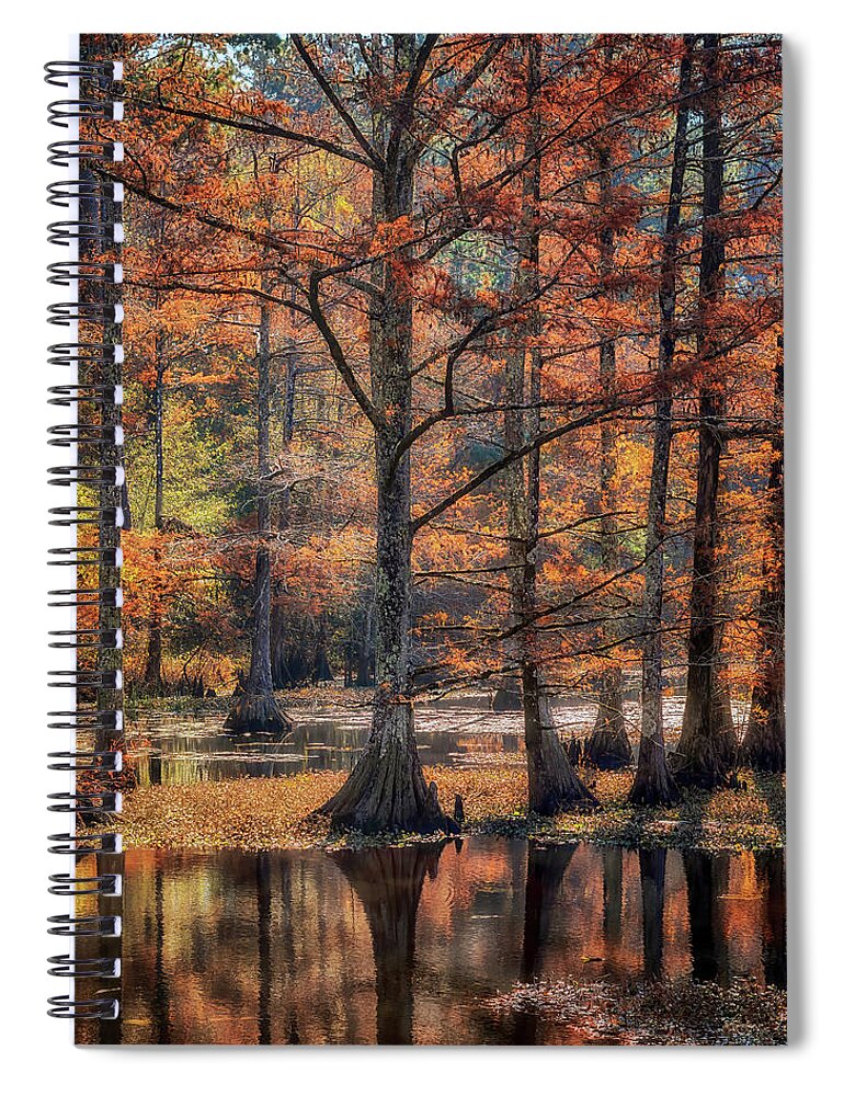 Autumn Spiral Notebook featuring the photograph Cypress Cove Reflections by Susan Rissi Tregoning