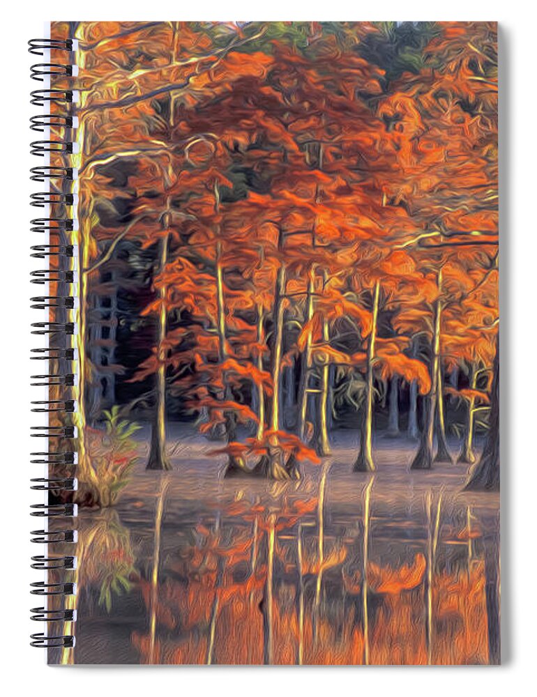Cypress Trees Spiral Notebook featuring the photograph Cypress Fancy by Jim Dollar