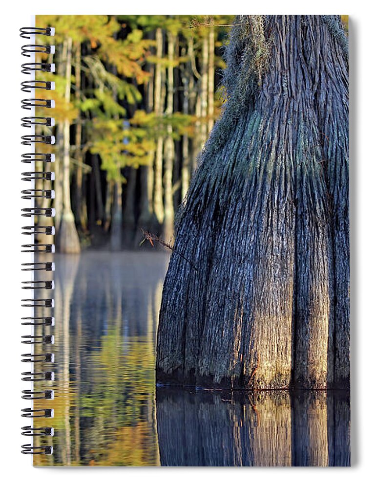 Georgia Spiral Notebook featuring the photograph Cypress by Jennifer Robin