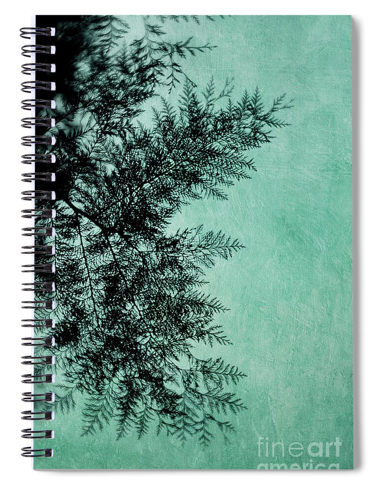 Branch Spiral Notebook featuring the photograph Cypress by Priska Wettstein
