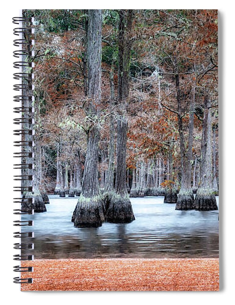  Spiral Notebook featuring the photograph Cypress Trees of Autumn by C Renee Martin