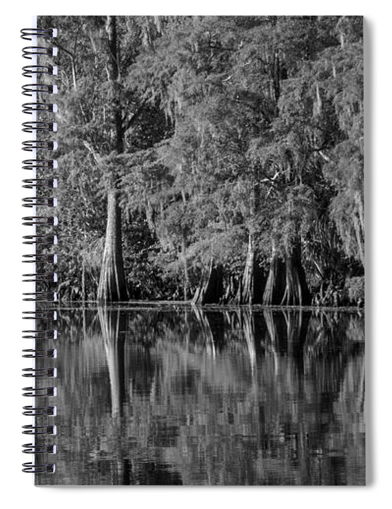 Bald Cypress Trees Spiral Notebook featuring the photograph Cyprus Swamp along the Hillsborough River by L Bosco