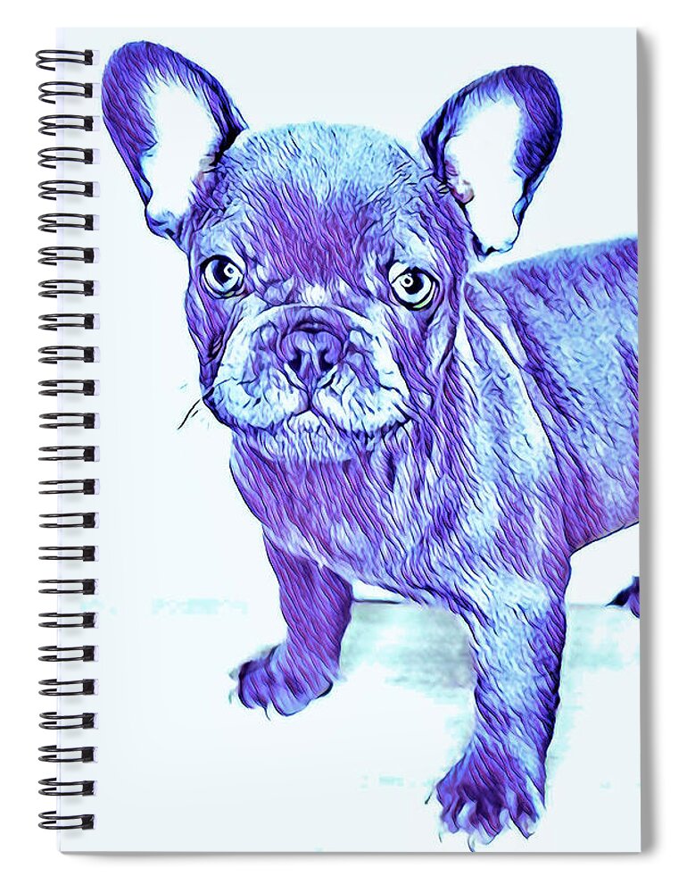 Blue French Bulldog. Frenchie. Dog. Pets. Animals. Spiral Notebook featuring the digital art Da Ba Dee by Denise Railey