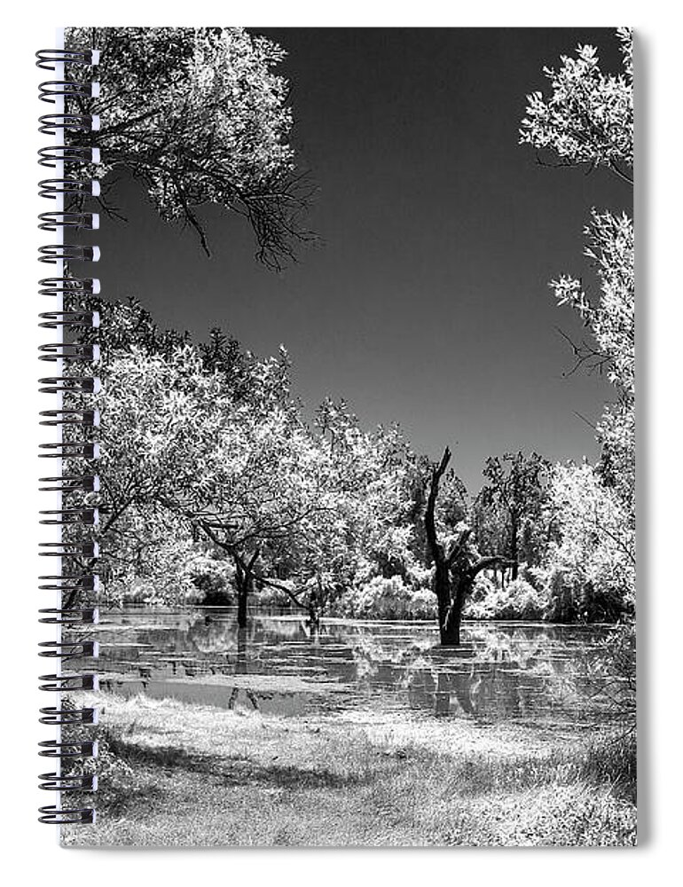 Photograph Spiral Notebook featuring the photograph D'Agostini Reservoir by Beverly Read