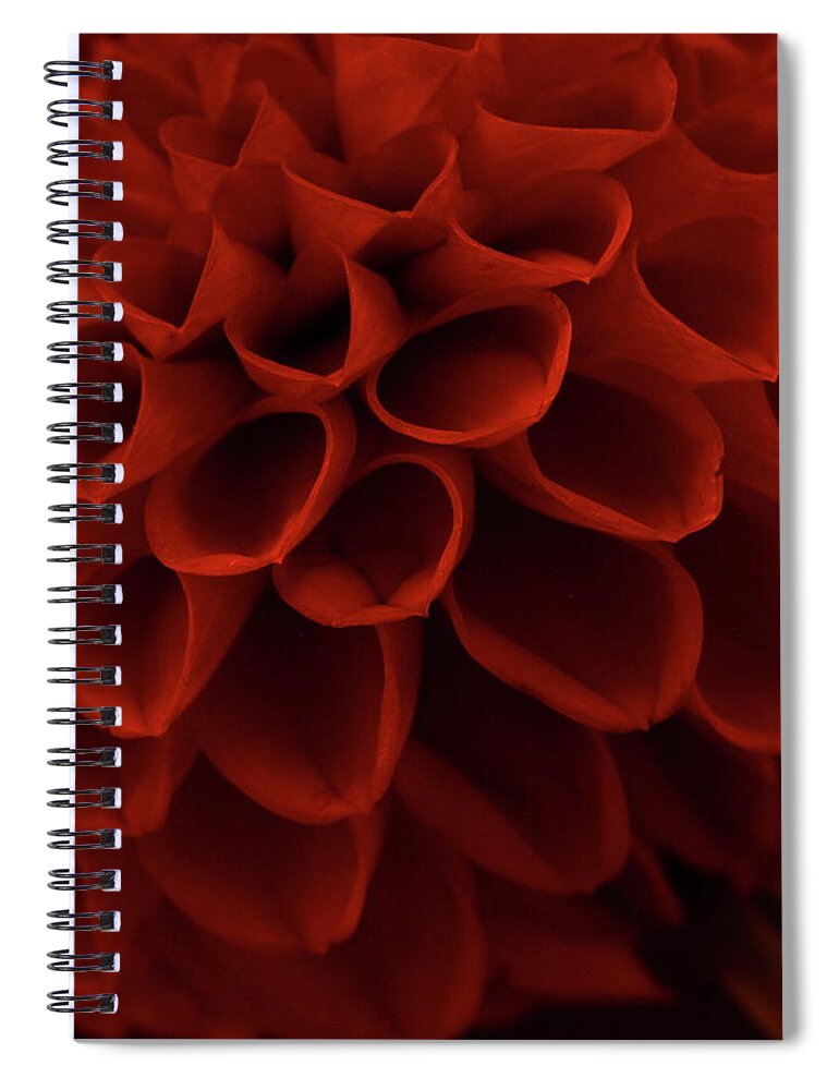 Flora Spiral Notebook featuring the photograph Dahlia 4323 by Julie Powell