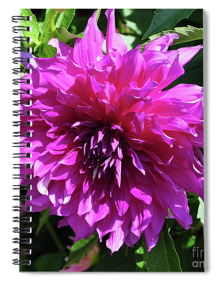 Dahlia Spiral Notebook featuring the digital art Dahlia Bloom by Kirt Tisdale