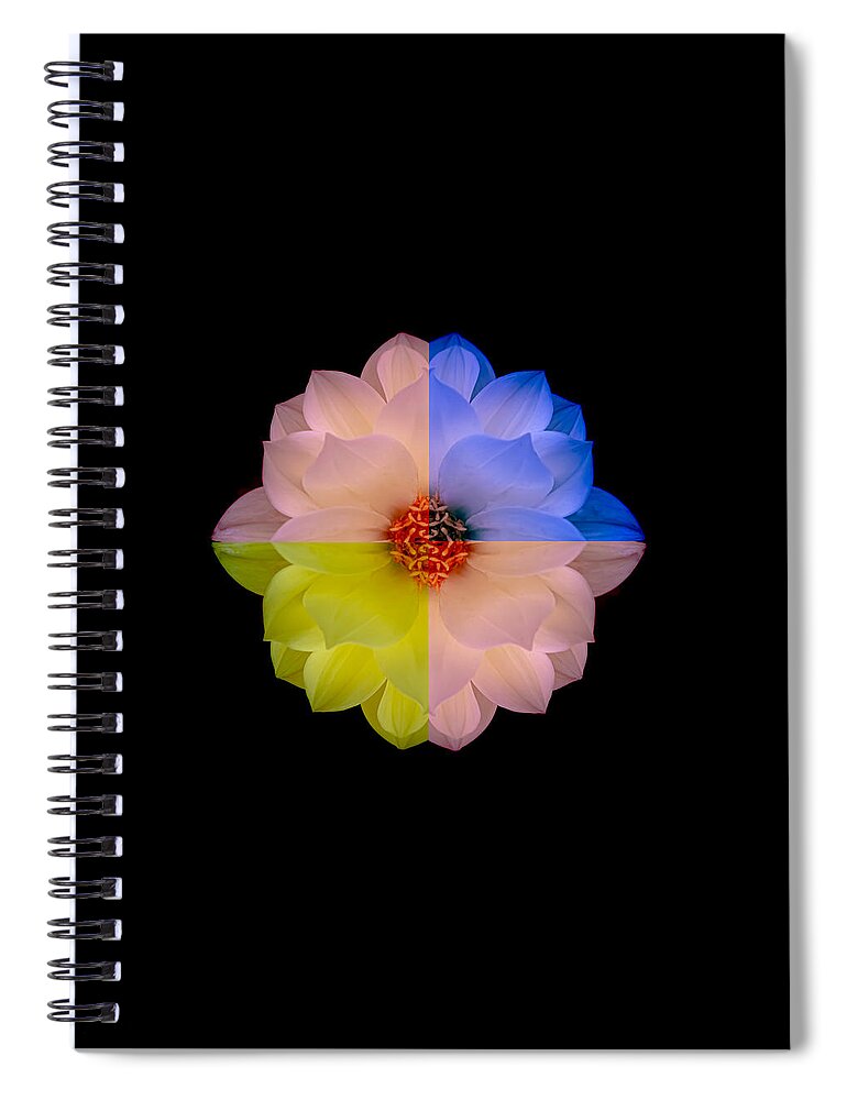 Art Spiral Notebook featuring the photograph Dahlia in Triple Colors by Joan Han