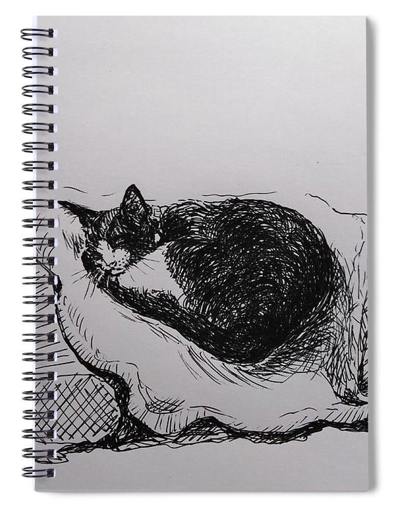 Cat Spiral Notebook featuring the drawing Daily Routine by Sukalya Chearanantana