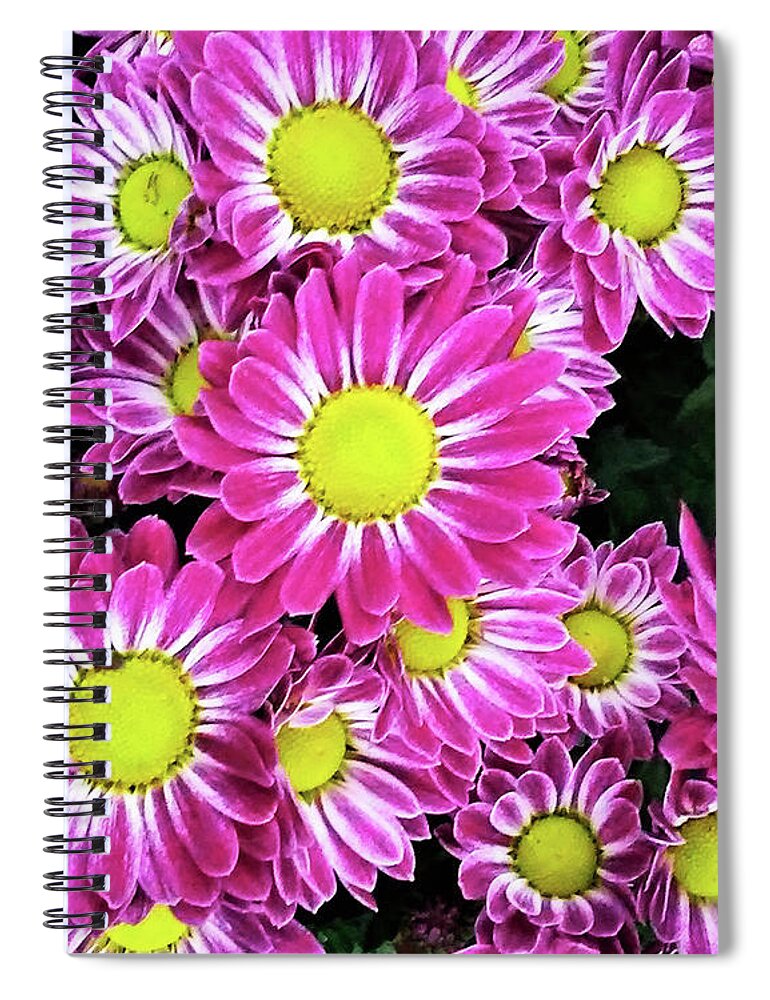 Daisies Spiral Notebook featuring the photograph Daisies 2020 by Andrew Lawrence