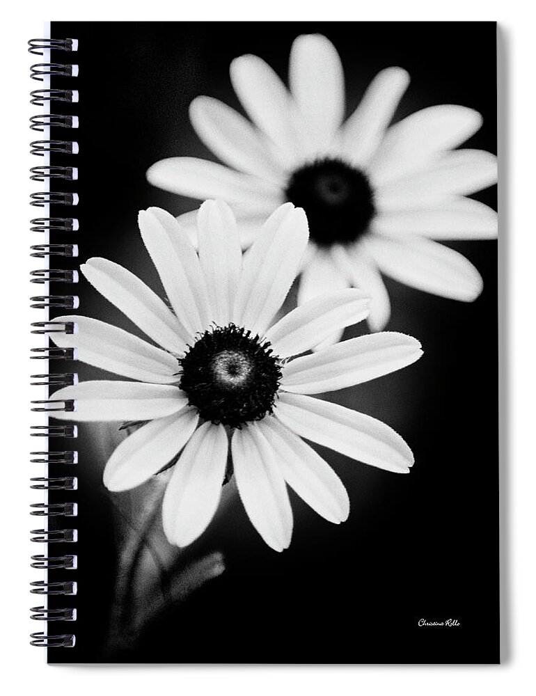 Daisies Spiral Notebook featuring the photograph Daisies Black And White Flowers by Christina Rollo