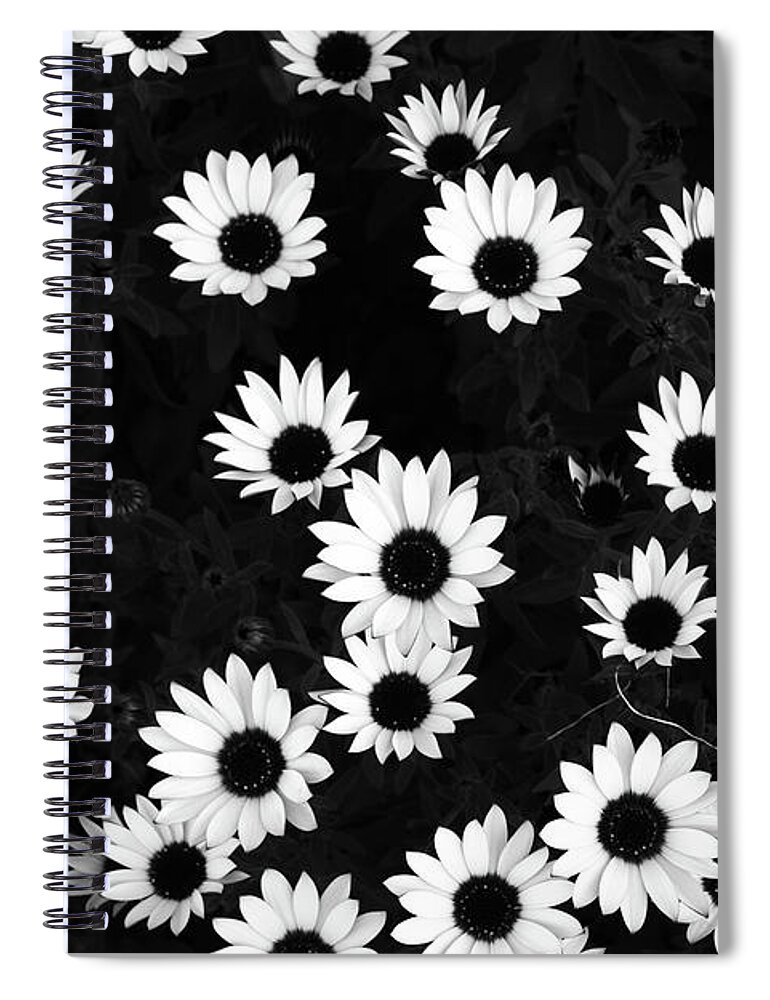 Daisies Spiral Notebook featuring the photograph Daisies by Gary Browne