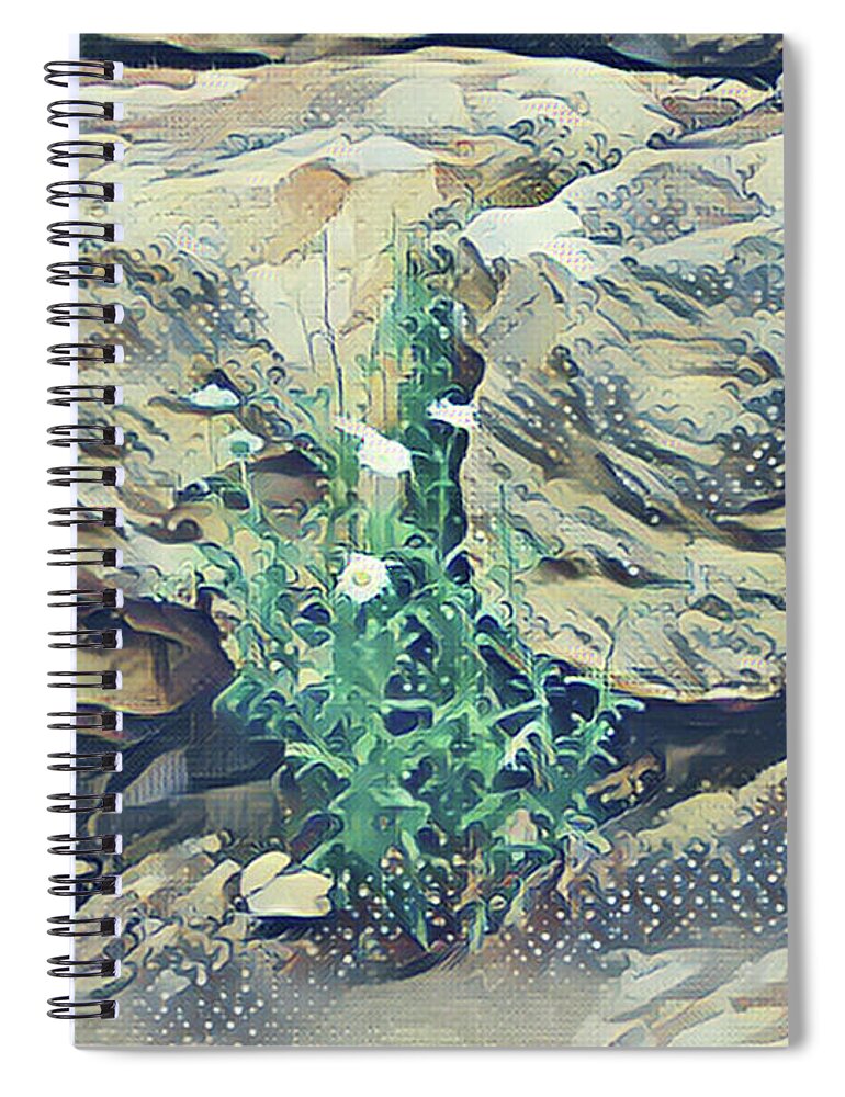 Daisies Spiral Notebook featuring the mixed media Daisies in the Boulders by Christopher Reed