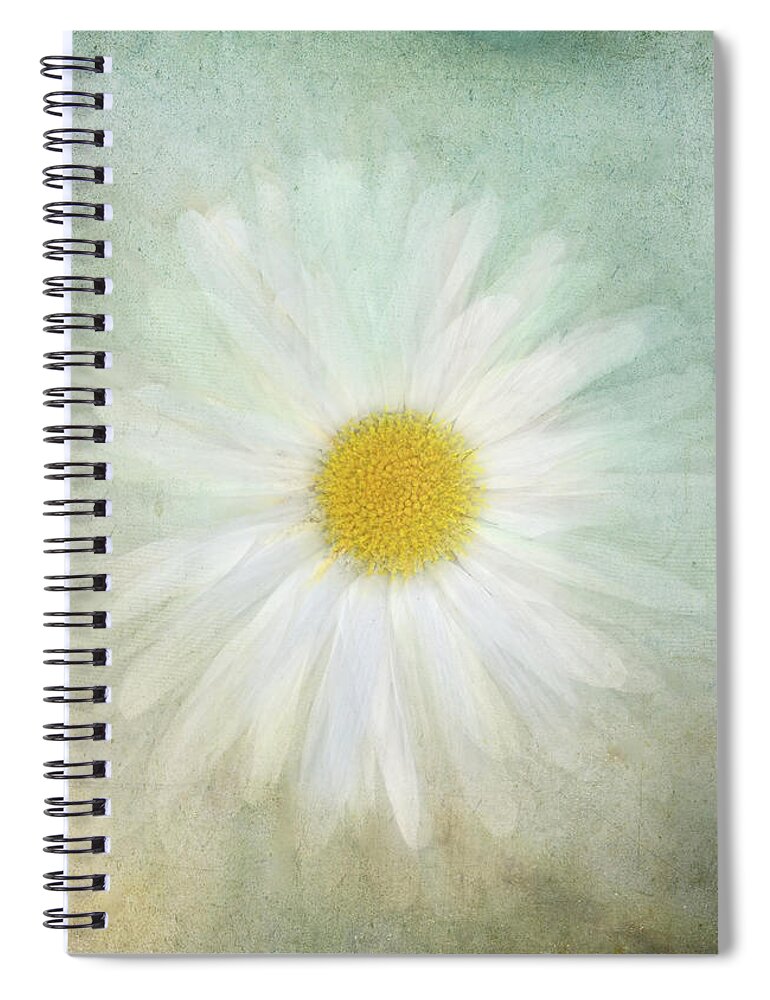 Photography Spiral Notebook featuring the digital art Daisy and Textures by Terry Davis