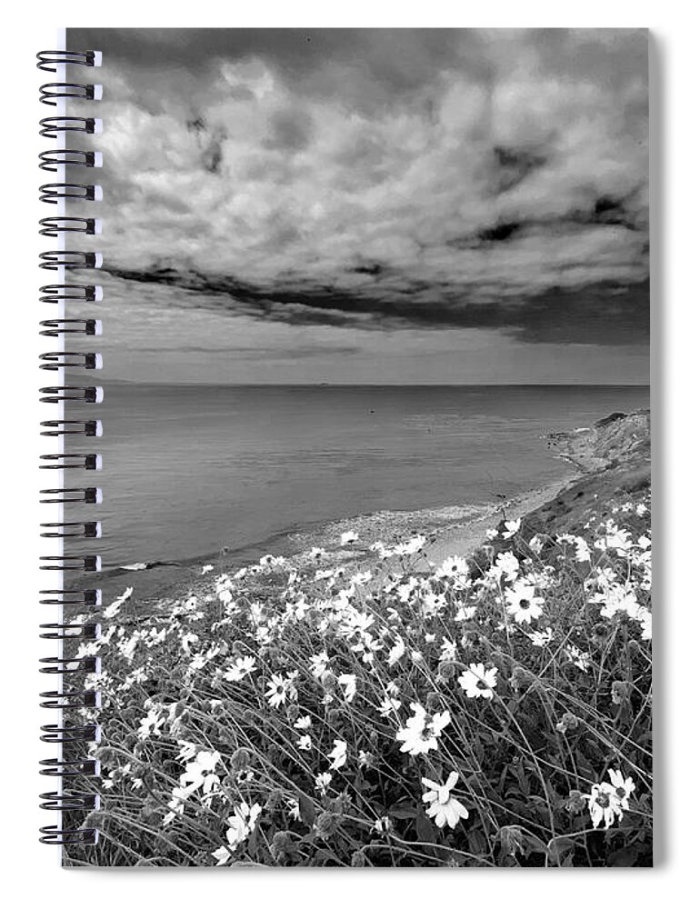 Daisy Spiral Notebook featuring the photograph Daisy Cliff by Kevin Bergen