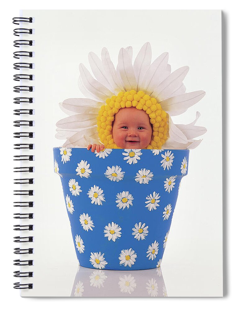 Color Spiral Notebook featuring the photograph Daisy Flowerpot by Anne Geddes