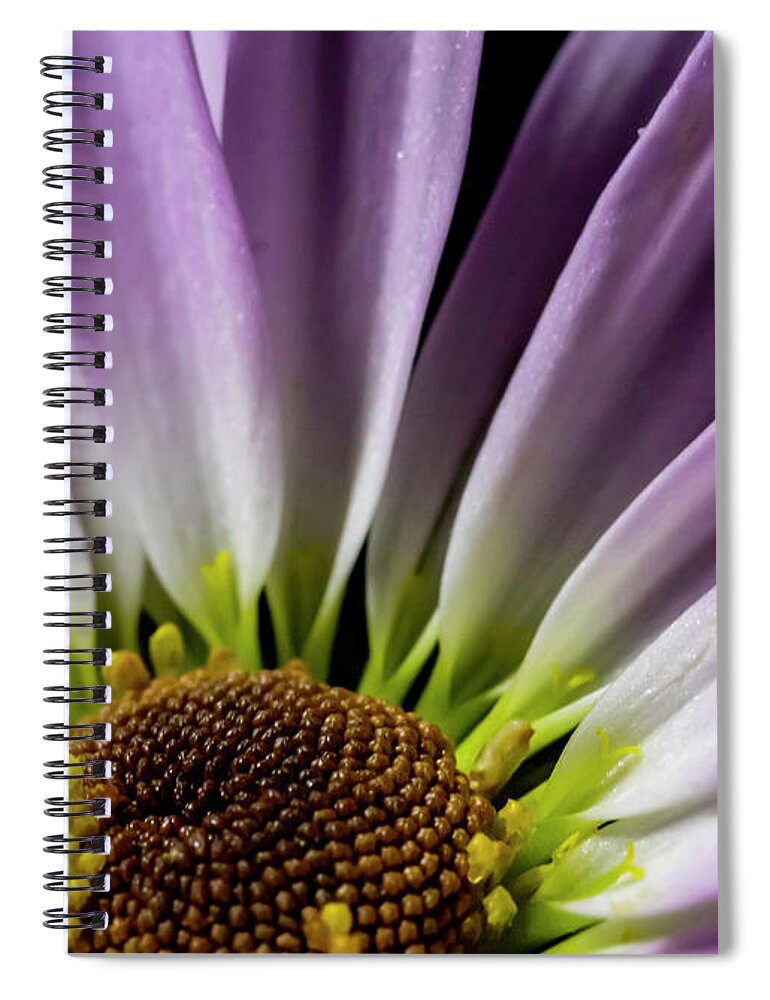 Purple Spiral Notebook featuring the photograph Daisy Macro by Cathy Kovarik