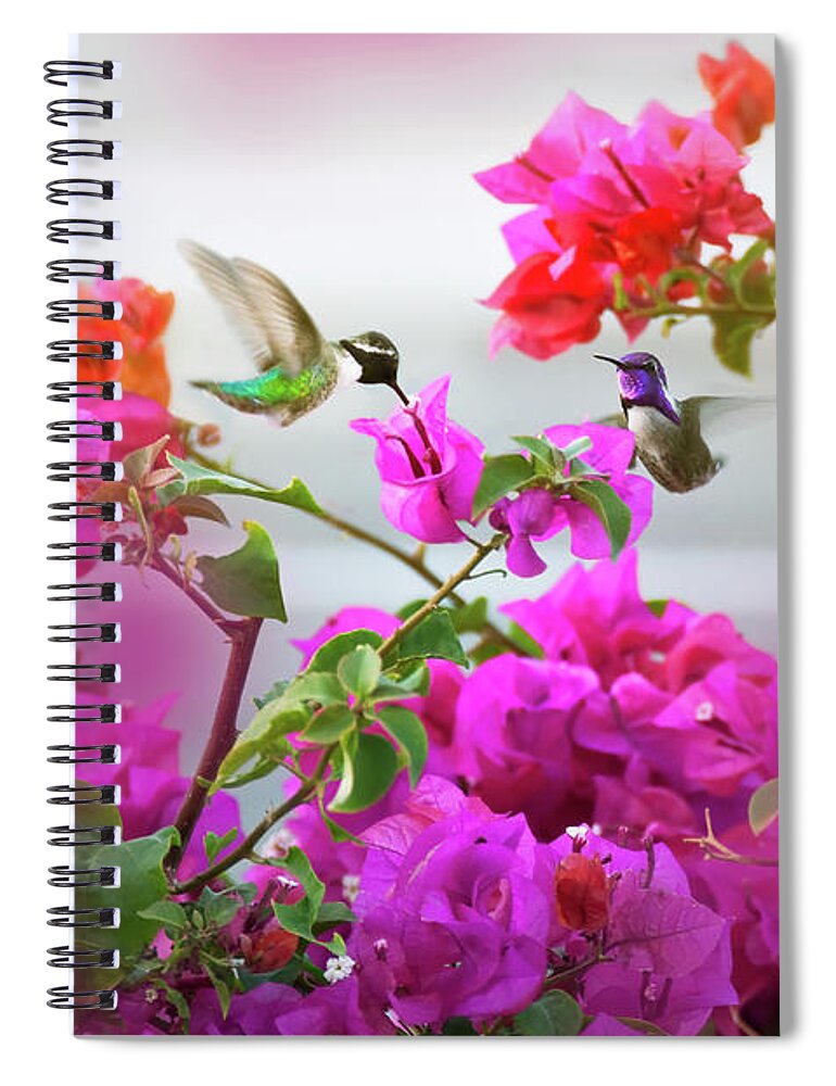 Hummingbird Spiral Notebook featuring the photograph Dance of the Hummingbirds by Naomi Maya