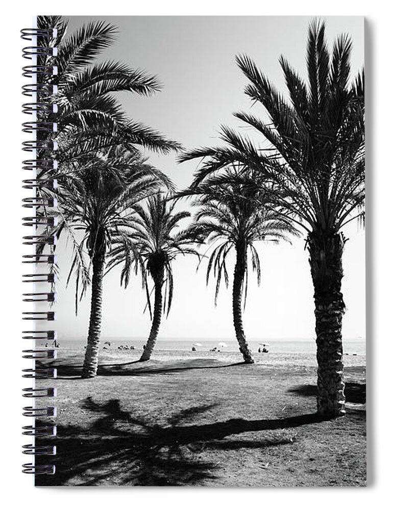 Palm Trees Spiral Notebook featuring the photograph Dancing Palms by Gary Browne