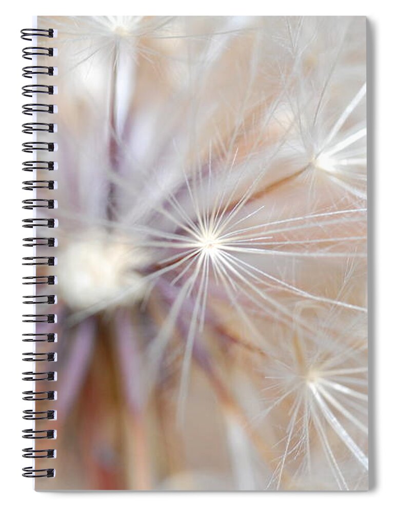 Nature Spiral Notebook featuring the photograph Dandelion 2 by Amy Fose