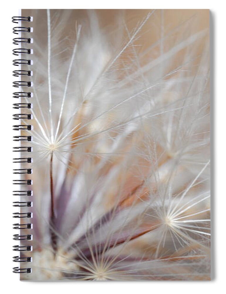 Nature Spiral Notebook featuring the photograph Dandelion 3 by Amy Fose