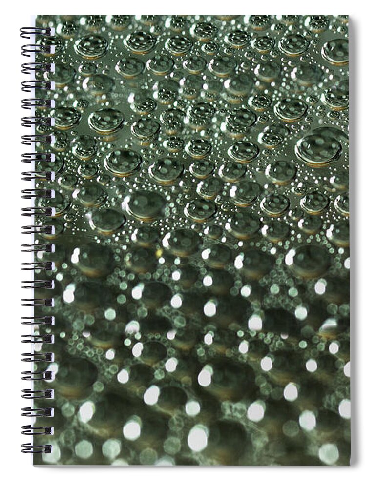 Silver Water Droplets Spiral Notebook featuring the photograph Dandelion Enamel under Water by Iris Richardson