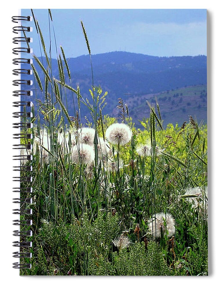 Dandelion Spiral Notebook featuring the photograph Dandelions and Mountains by Kathryn Alexander MA